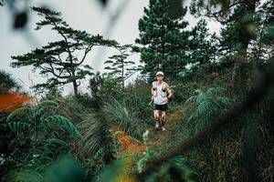 BIB: 
                            <button type="button" onclick="openModal(25258338)" class="btn btn-primary btn-sm float-right btn-popup" data-toggle="modal" data-target=".modal-high-quality">
                        <i class="fas fa-shopping-cart"></i> Add to Cart
                    </button>
                                            <button type="button" onclick="isThisMe(25258338, true)" class="btn btn-success btn-sm float-right btn-popup btn-isme hidden" data-toggle="tooltip" data-placement="bottom" title="นี่คือรูปของคุณใช่ไหม คลิกที่นี่เพื่อเอาเข้าอัลบั้ม">
                        <i class="fas fa-plus"></i> Add to album
                    </button>
                    <button type="button" onclick="isThisMe(25258338, false)" class="btn btn-warning btn-sm float-right btn-popup btn-isnotme hidden">
                        <i class="fas fa-ban"></i> Remove from album
                    </button>